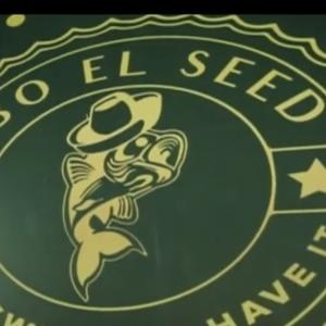 Port Said Star Factory