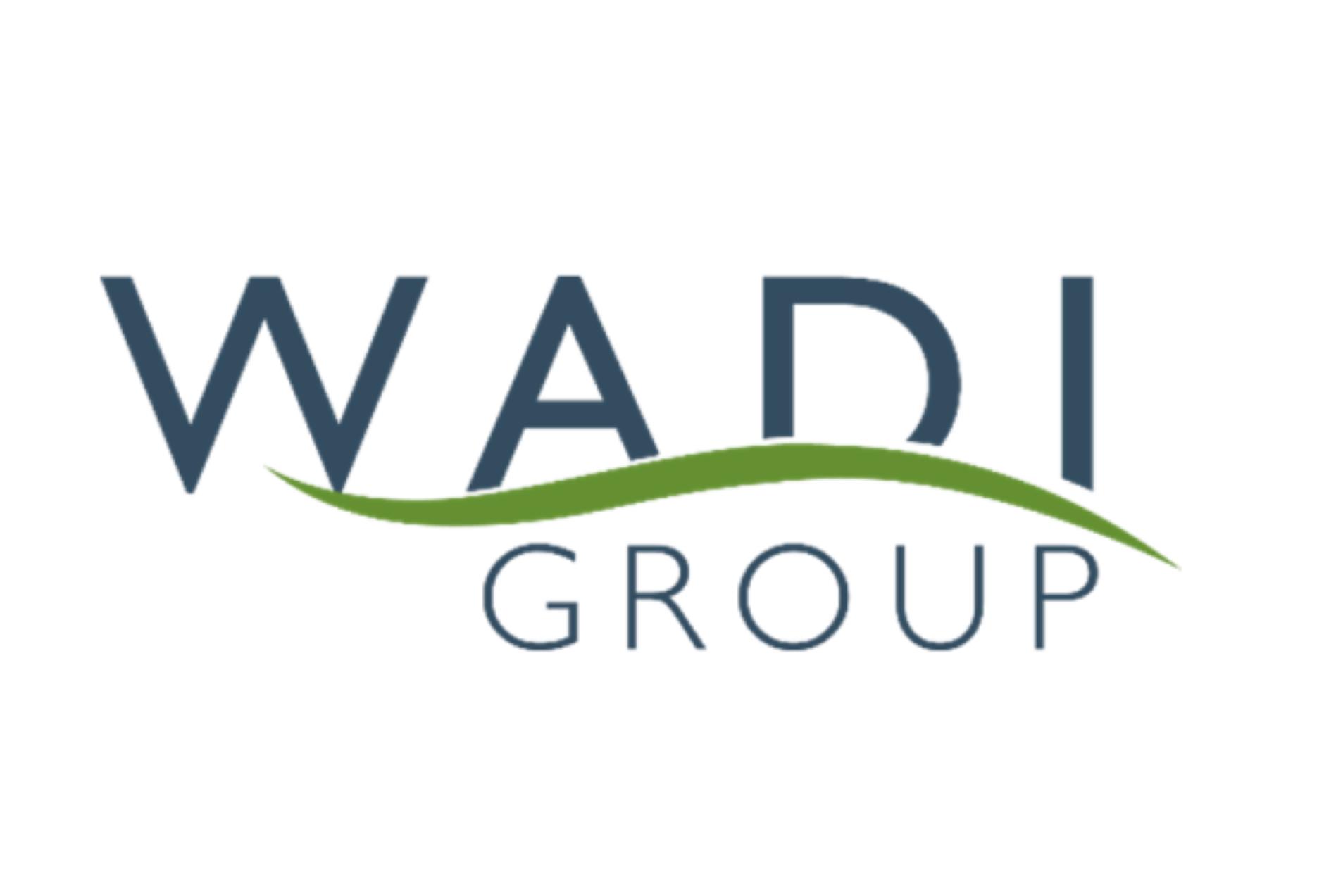 Wadi Group
